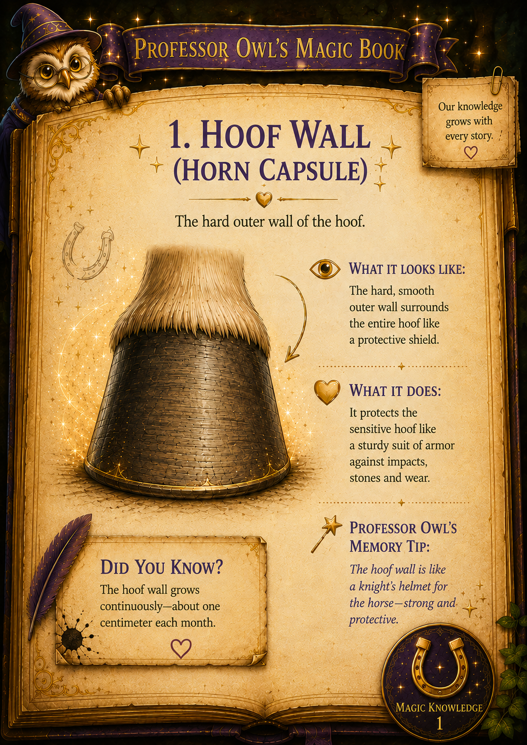 Professor Owl’s Magic Book explains the hoof wall, its protective function and how it grows. 